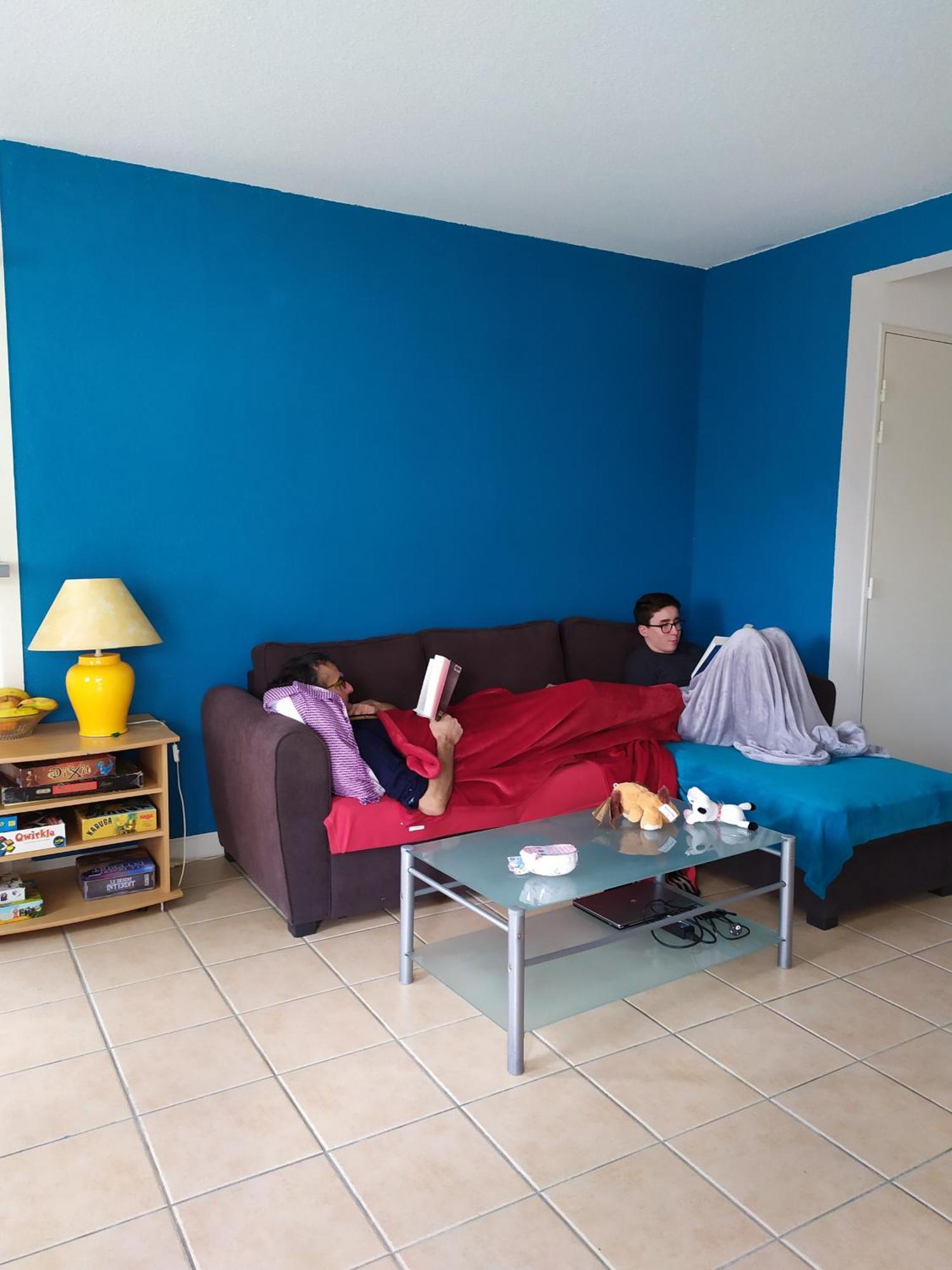 Apartamento Carcassonne T3 résidentiel rez de jardin piscine, wifi, tennis, fitness Exterior foto